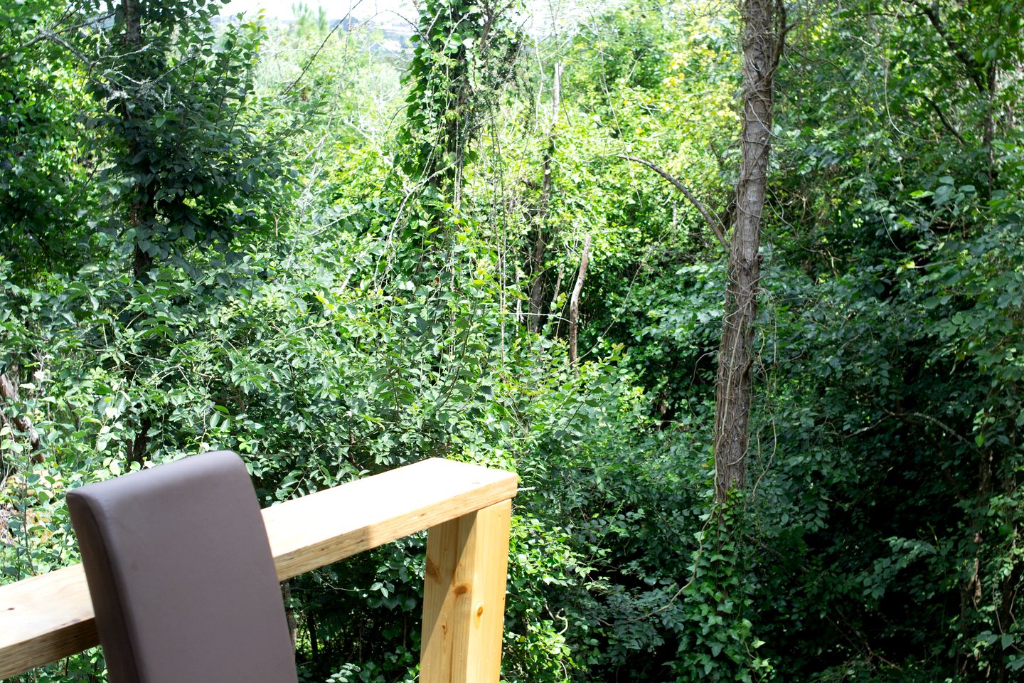 Picturesque Tiny Cabin Nestled into the Woods Near the Coast in Portugal