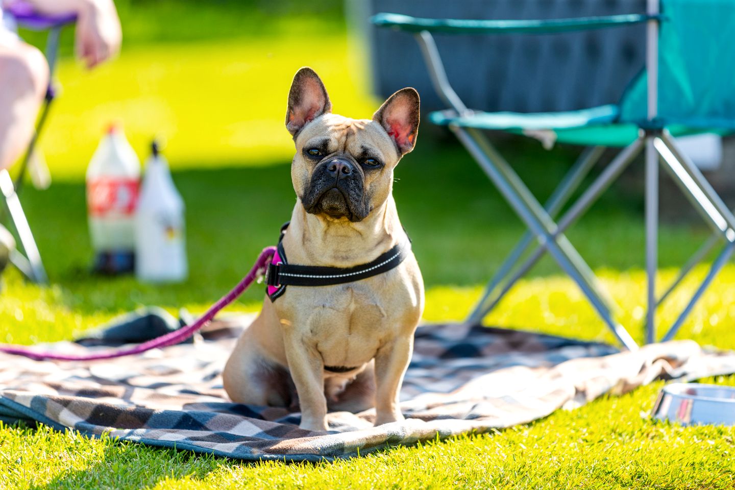 Family-Friendly Pods Perfect to Create New Memories in Preston, England