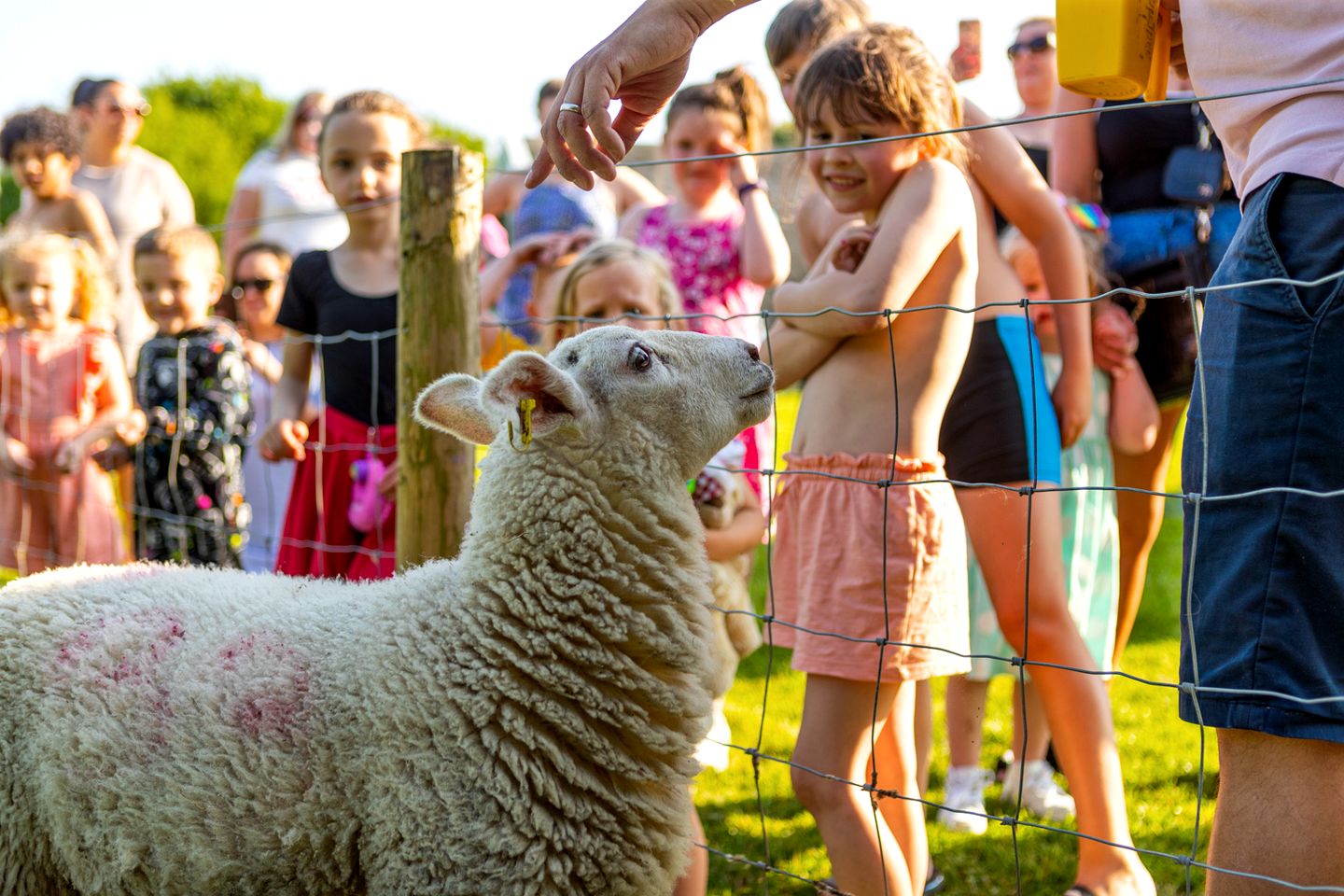 Family-Friendly Pods Perfect to Create New Memories in Preston, England