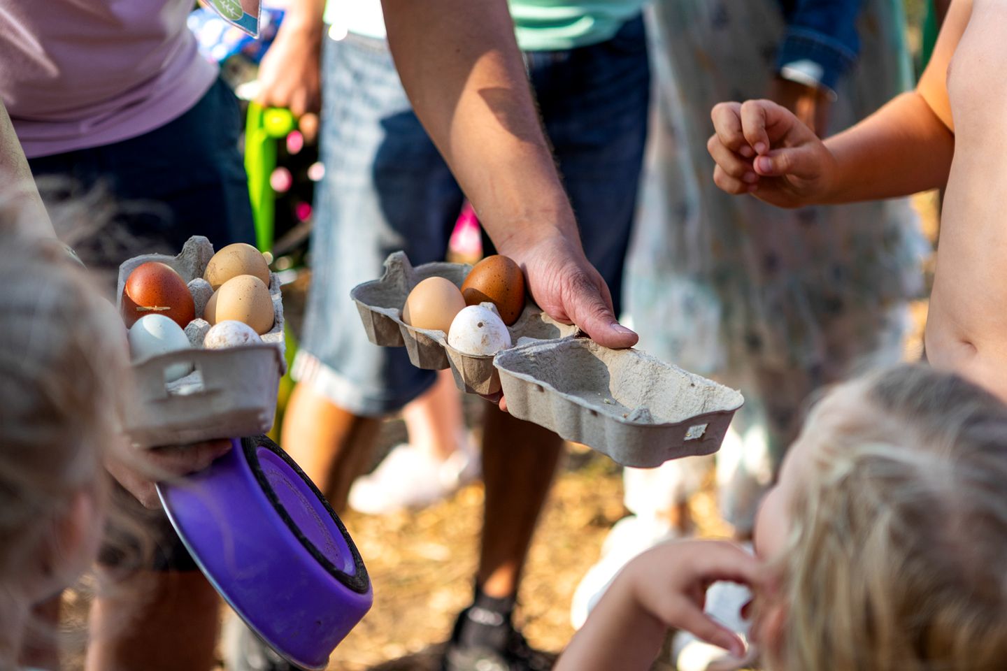 Family-Friendly Pods Perfect to Create New Memories in Preston, England