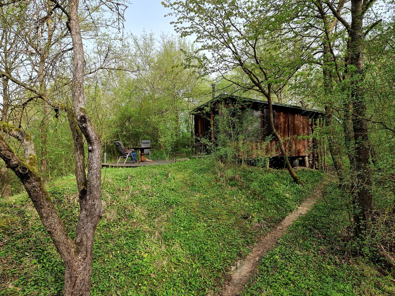 Quaint Cottage with Sauna Nestle into the Woods in Poland