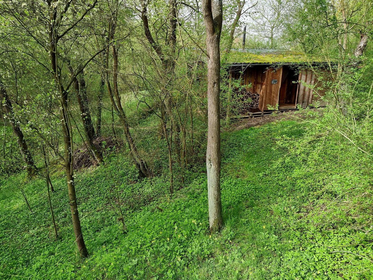 Quaint Cottage with Sauna Nestle into the Woods in Poland