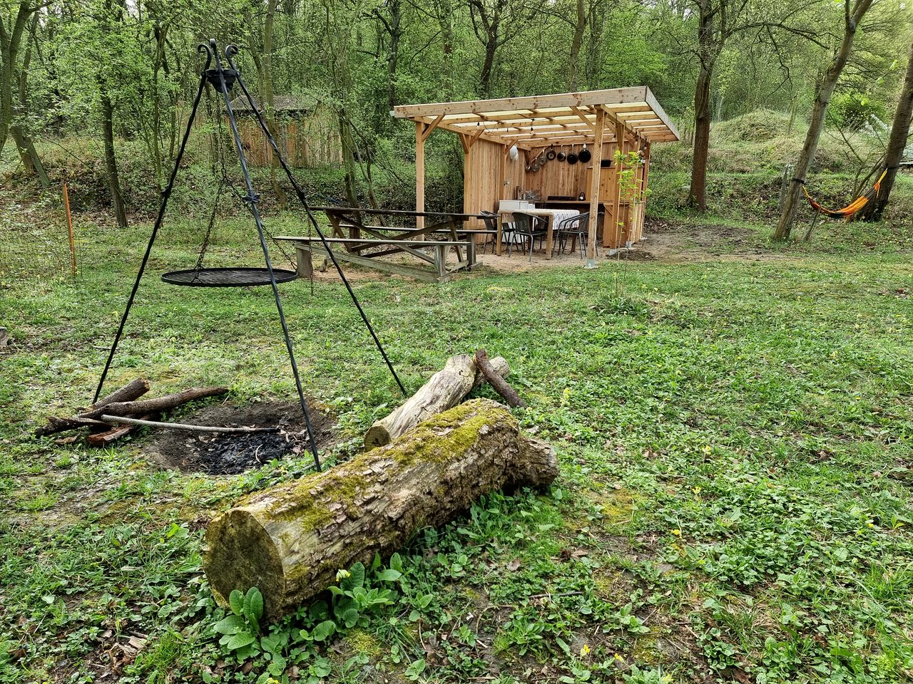 Quaint Cottage with Sauna Nestle into the Woods in Poland
