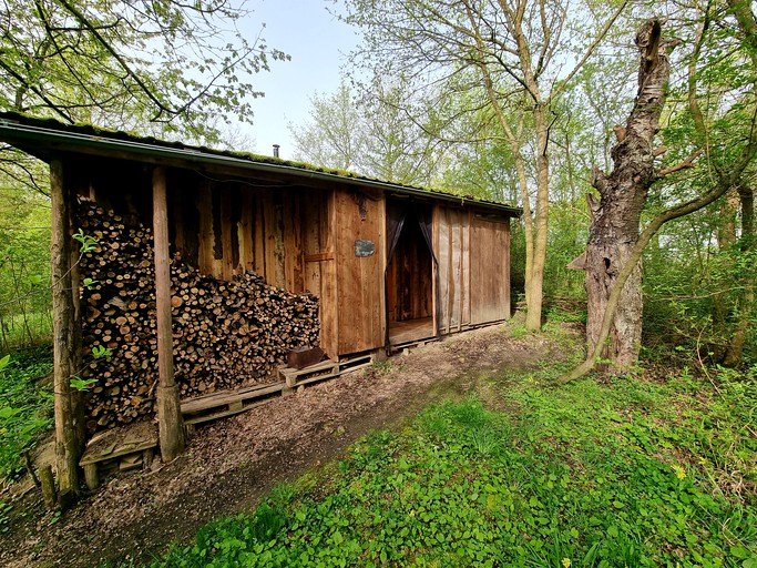Cabins (Poland, Zaton Dolna, West Pomerania)