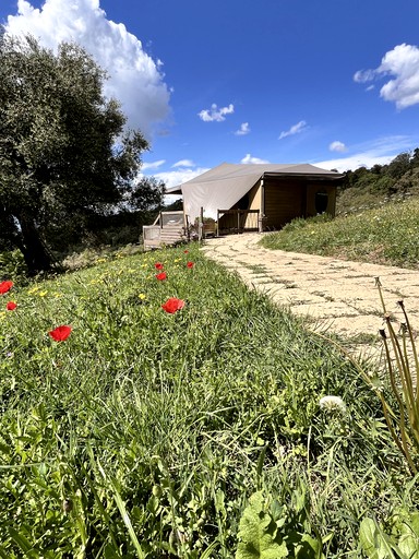 Tented Cabins (Italy, Montorgiali, Toscana)