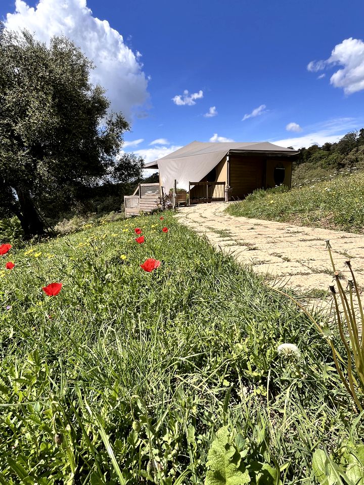 Luxury Tented Cabin with Jacuzzi and Beautiful Toscana Views in Italy