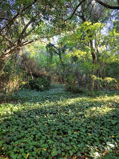 Cabins (Argentina, San Miguel Del Monte, Buenos Aires)