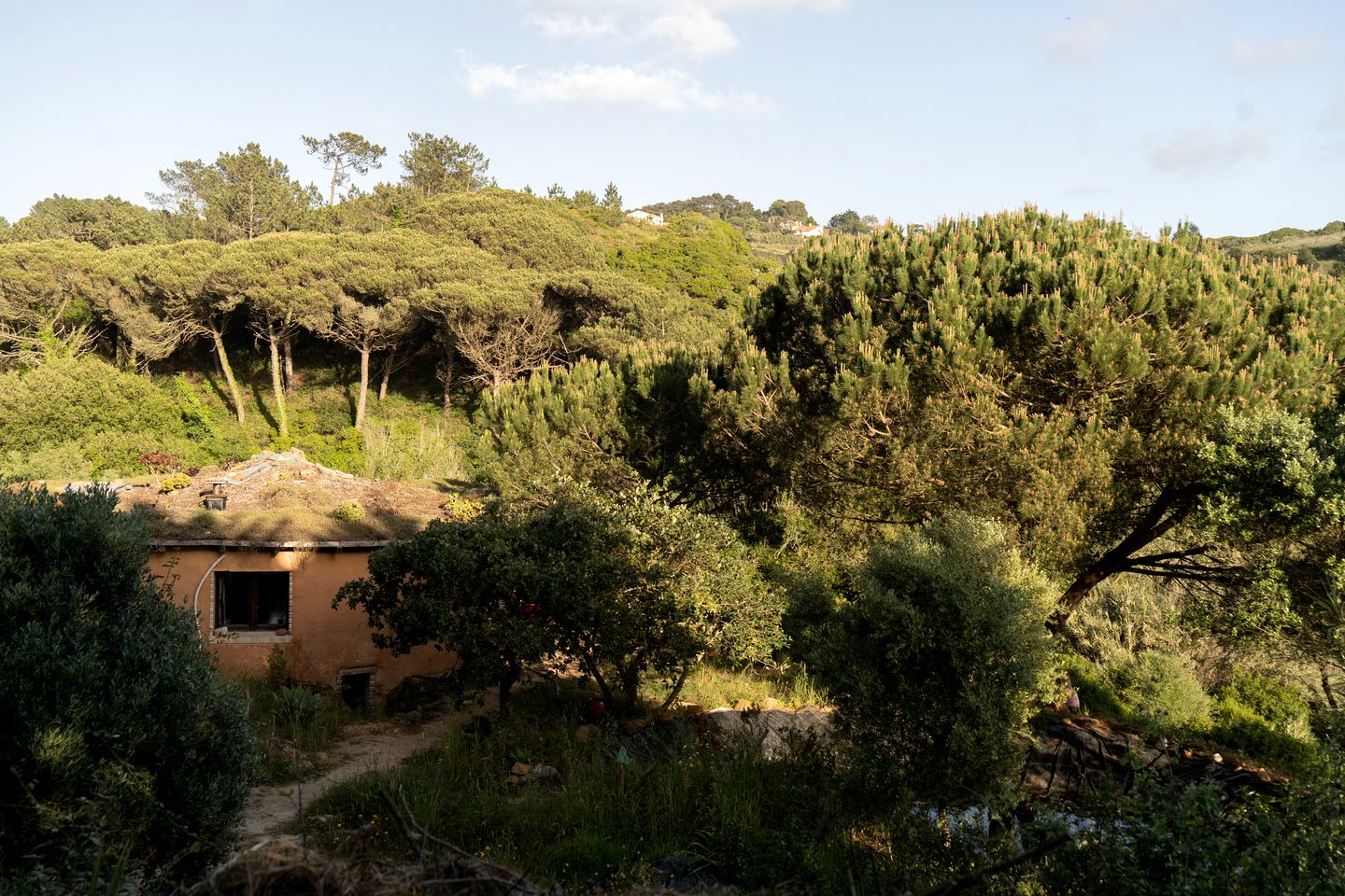 Natural Roundhouse near Ericeira