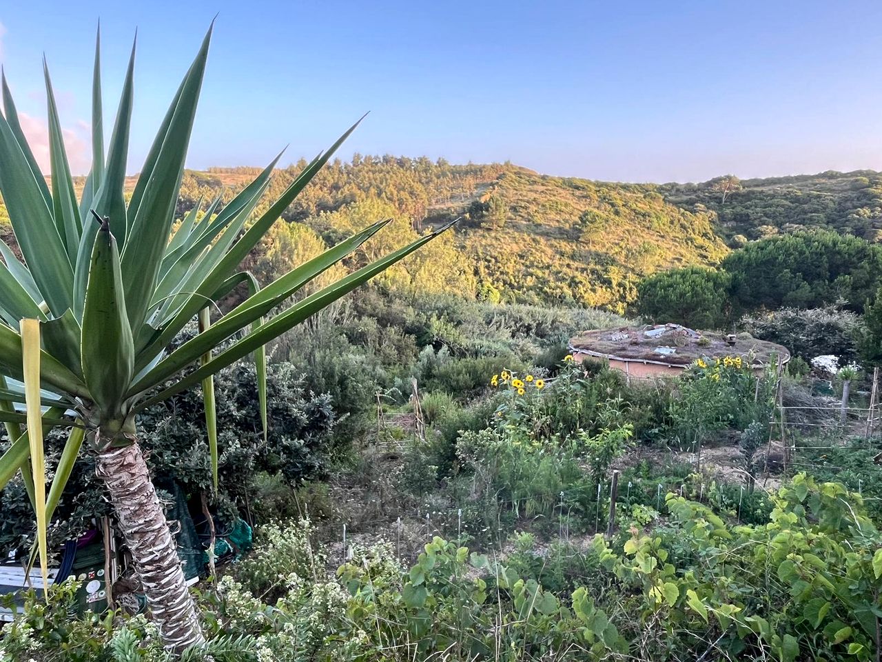 Natural Roundhouse near Ericeira