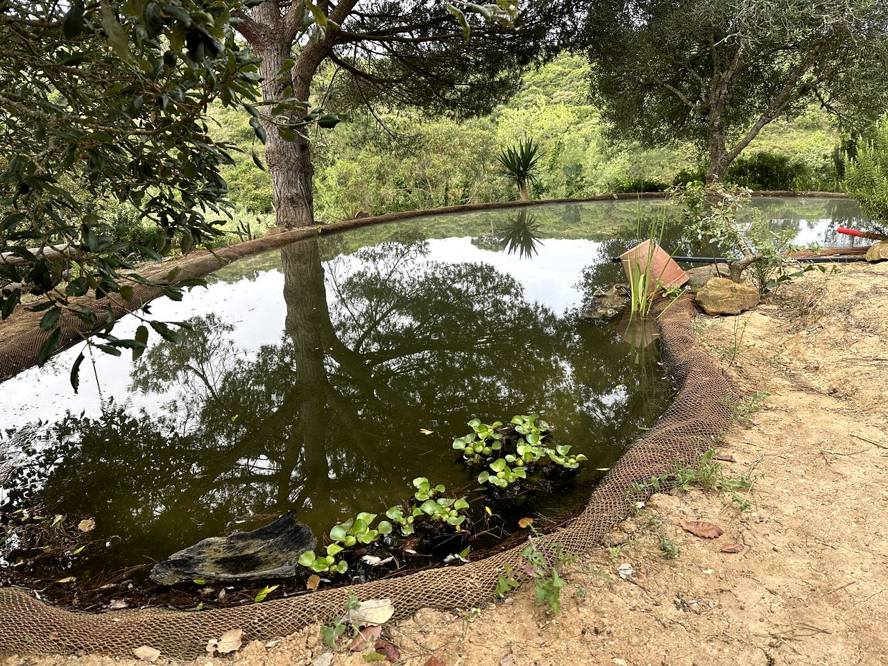 Natural Roundhouse near Ericeira
