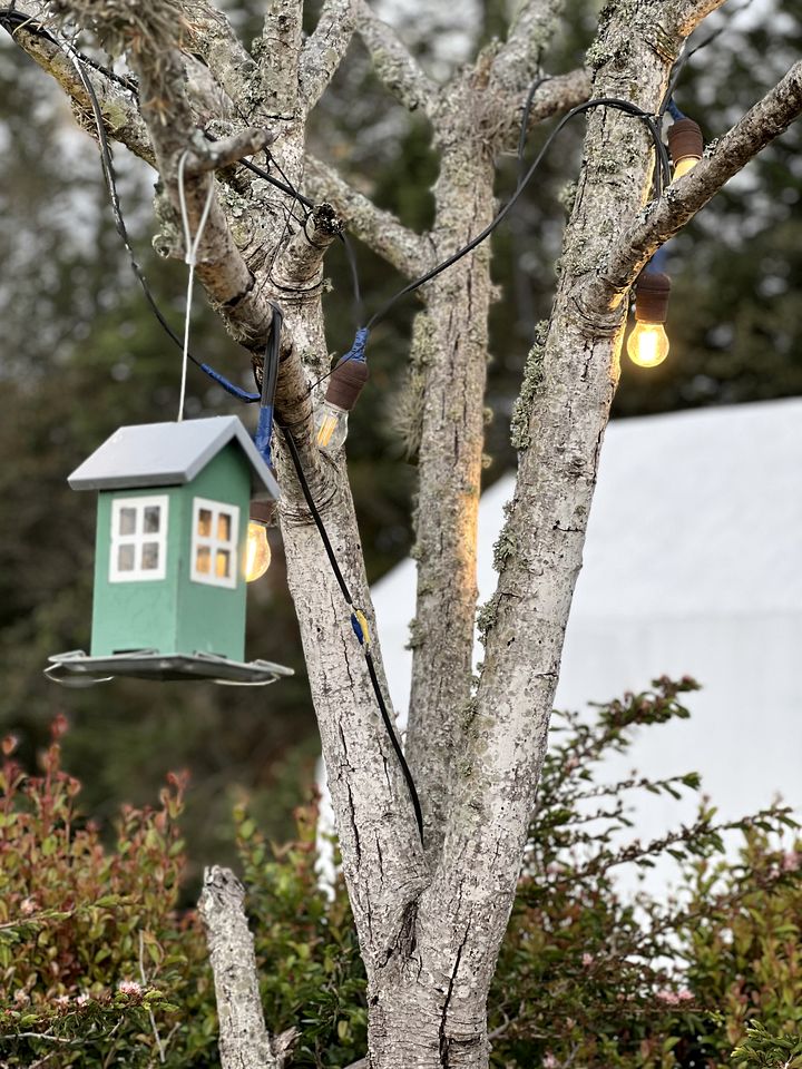 Beautiful Design Cottage with Breathtaking Views in Ecuador