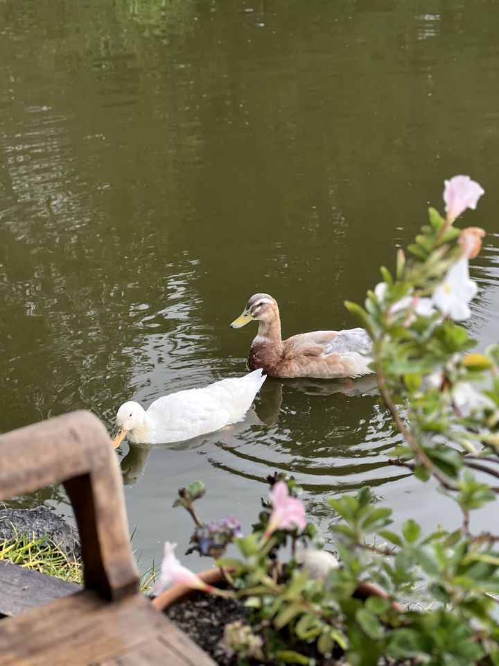 Beautiful Design Cottage with Breathtaking Views in Ecuador