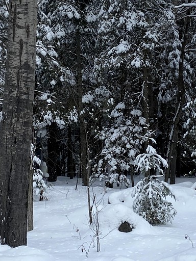 Cabins (Canada, Eganville, Ontario)