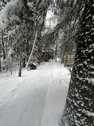 Cabins (Canada, Eganville, Ontario)