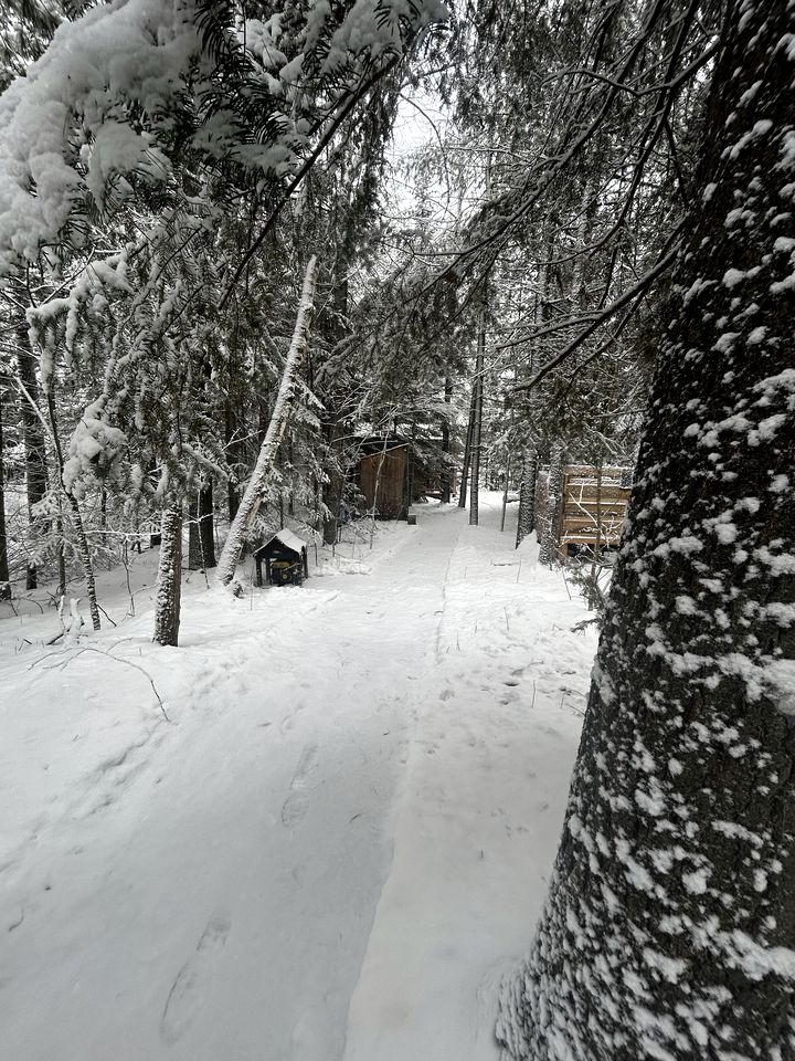 Quaint Tiny Cabins Great for a Couples Escape in Ontario