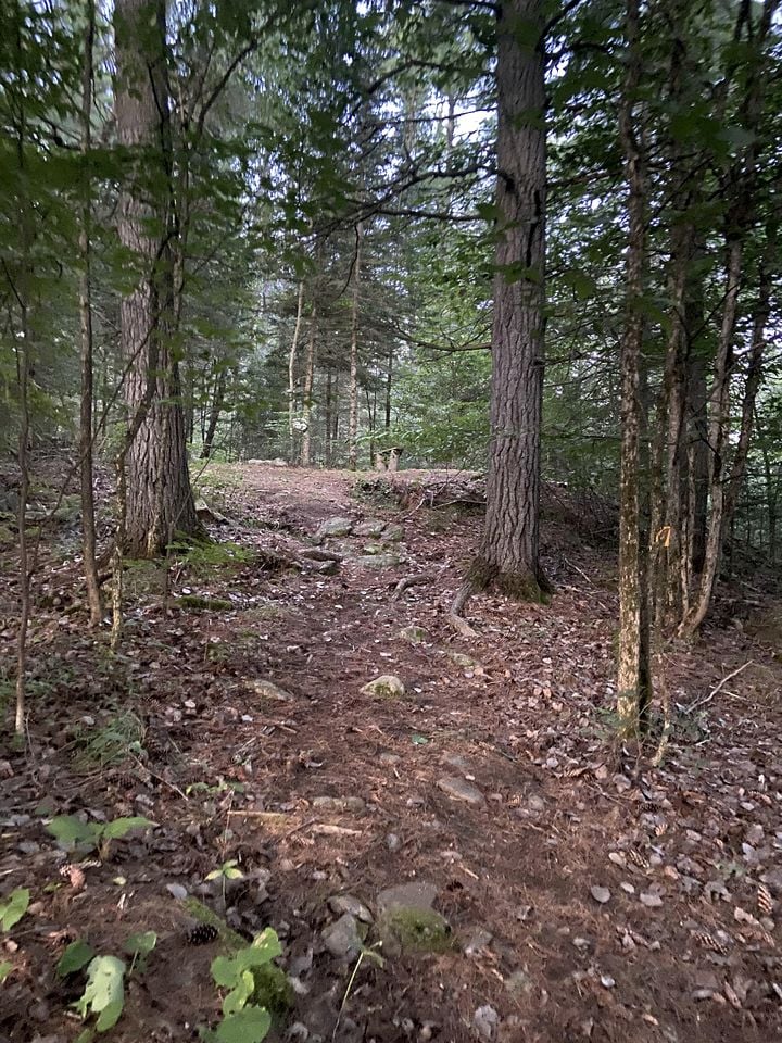 Quaint Tiny Cabins Great for a Couples Escape in Ontario