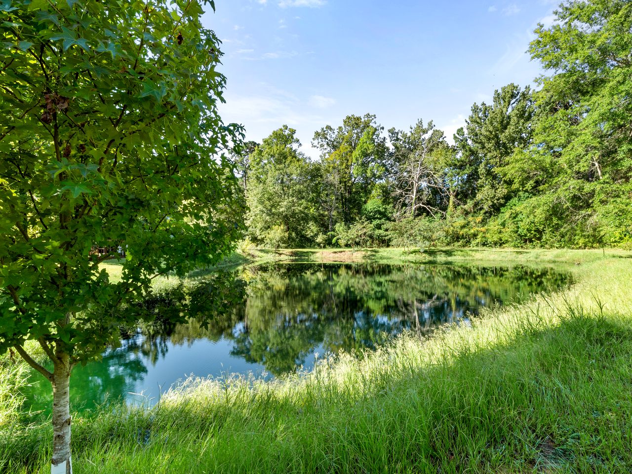 Equipped Camper Lovely for a Glamping Getaway in Louisiana