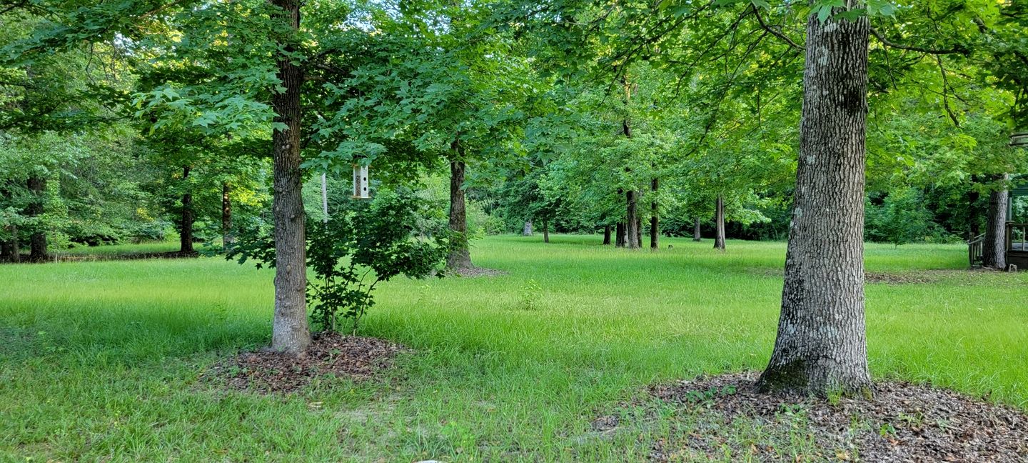 Equipped Camper Lovely for a Glamping Getaway in Louisiana