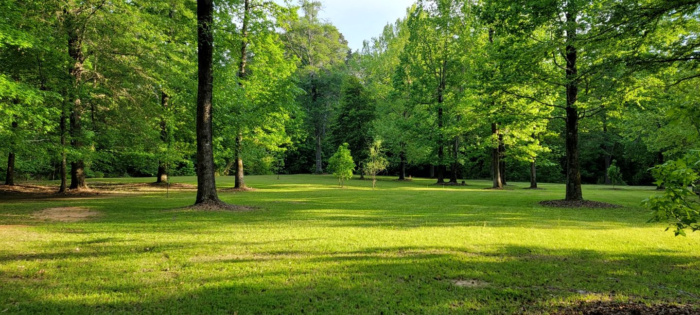 Equipped Camper Lovely for a Glamping Getaway in Louisiana