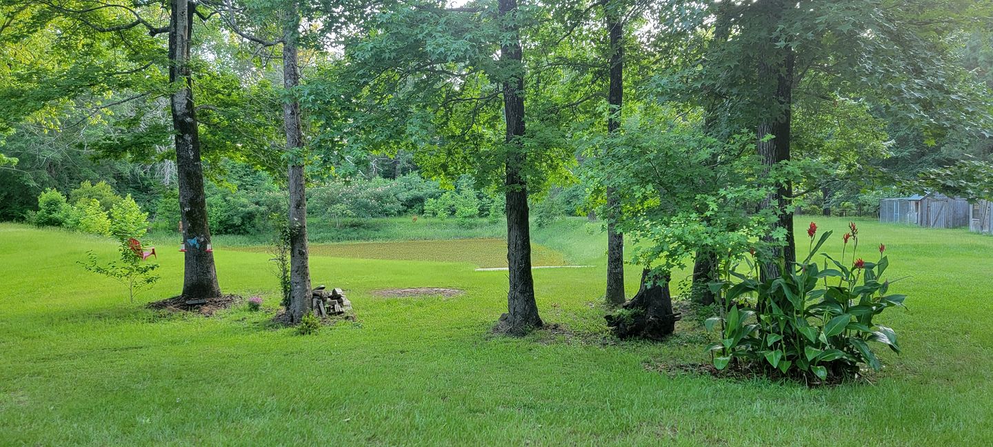 Equipped Camper Lovely for a Glamping Getaway in Louisiana
