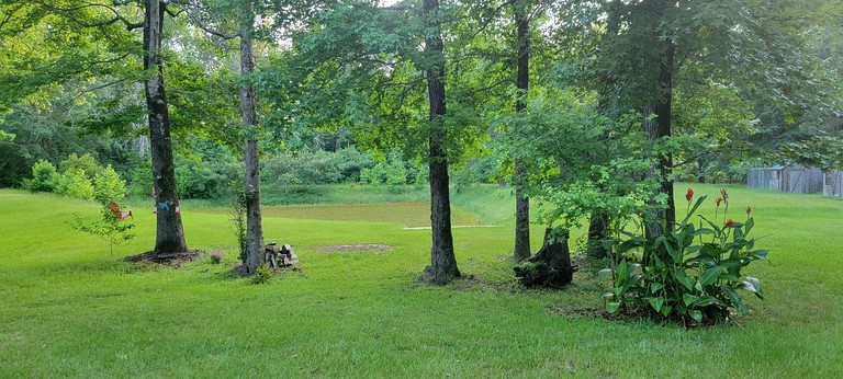 Airstreams (United States of America, Noble, Louisiana)
