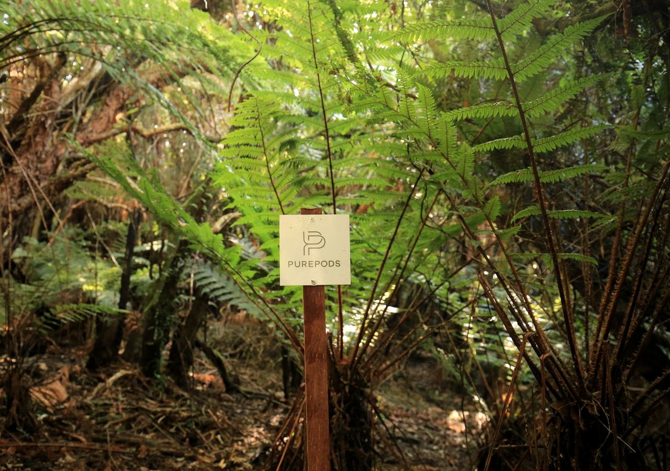 Coast-Front Pod Perfect for an Isolated Tranquil Escape in Stewart Island