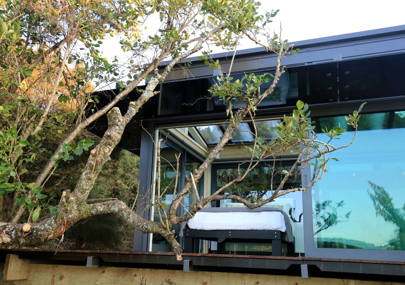 Coast-Front Pod Perfect for an Isolated Tranquil Escape in Stewart Island