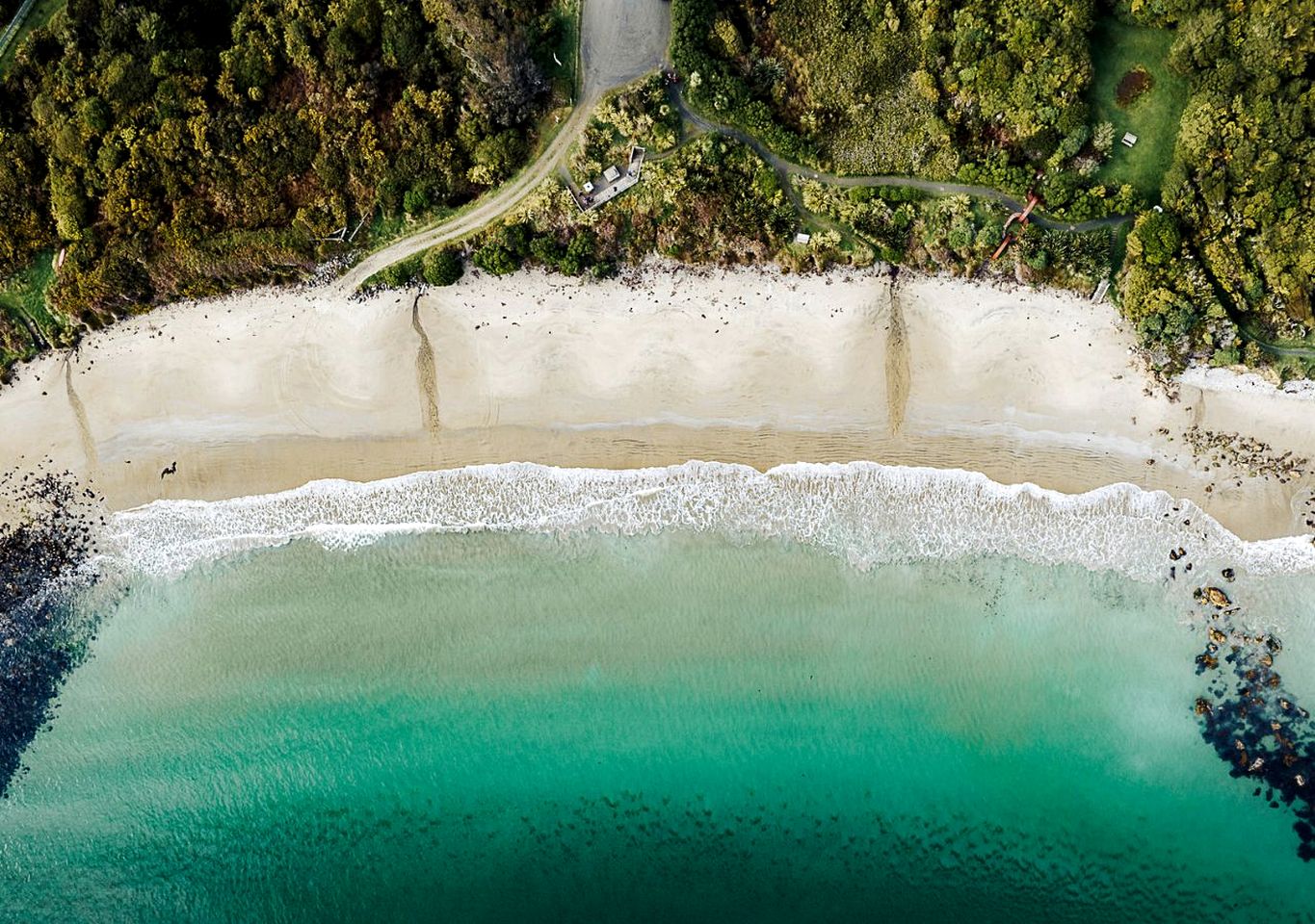 Coast-Front Pod Perfect for an Isolated Tranquil Escape in Stewart Island