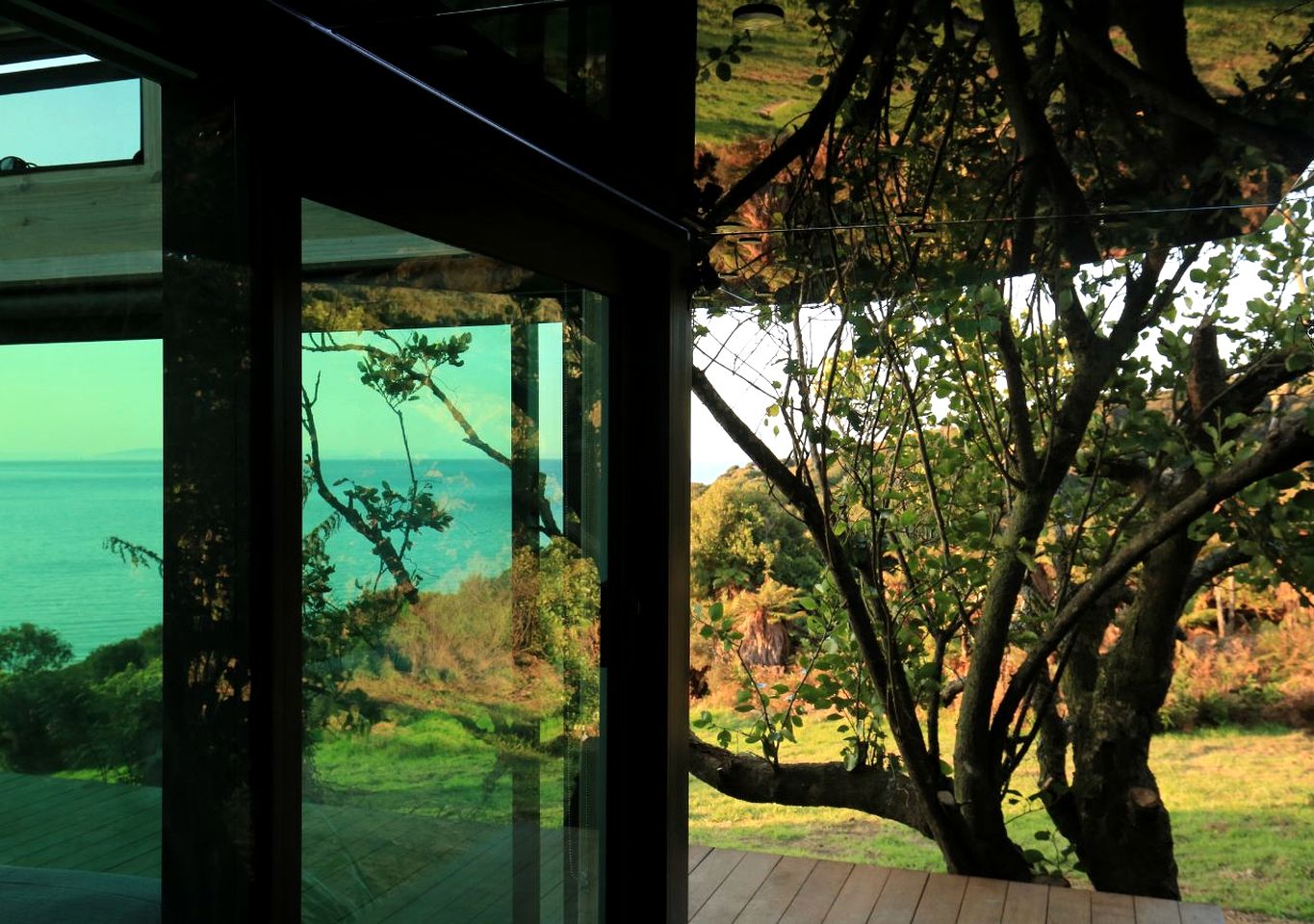 Coast-Front Pod Perfect for an Isolated Tranquil Escape in Stewart Island