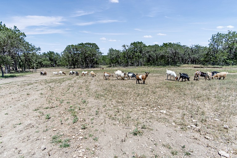 Cabins (United States of America, Bandera, Texas)