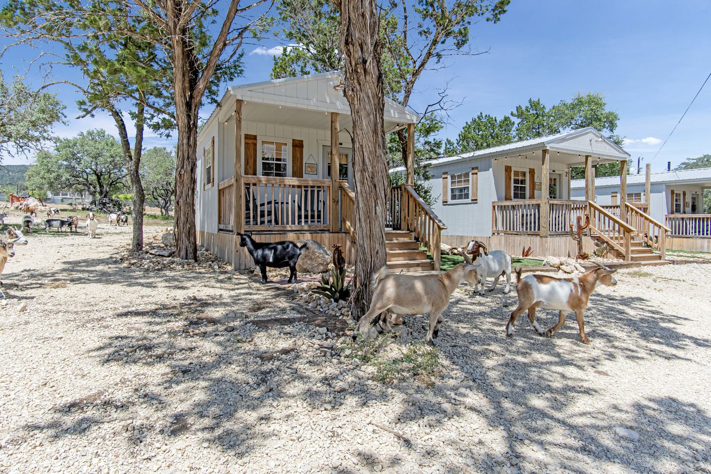 Private Romantic Cabin Perfect for Couples in Texas