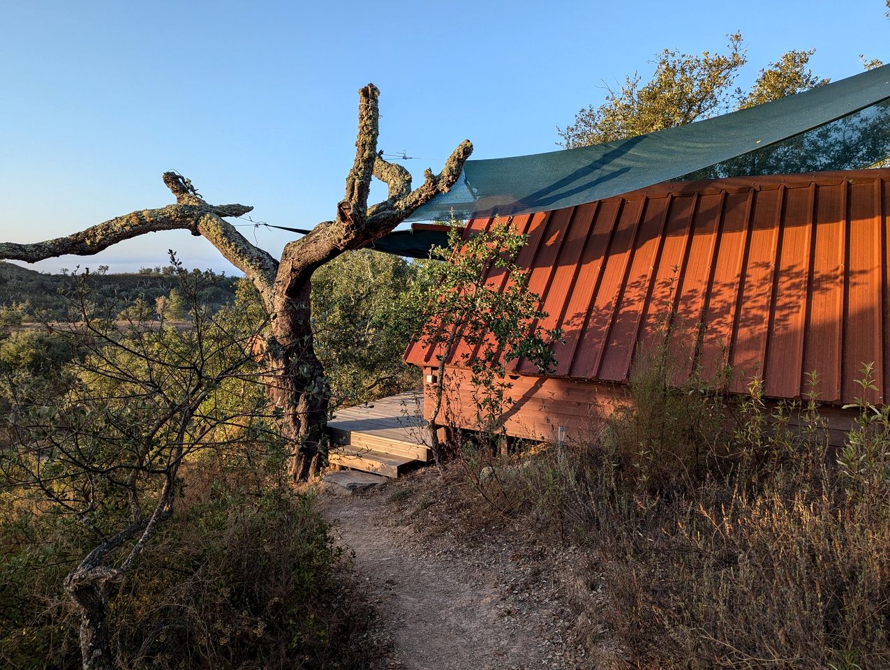 Eco-Friendly Cabin Perfect for a Relaxing Escape in Portugal