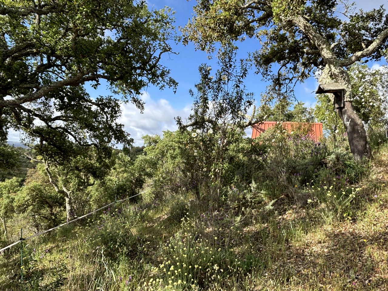 Eco-Friendly Cabin Perfect for a Relaxing Escape in Portugal