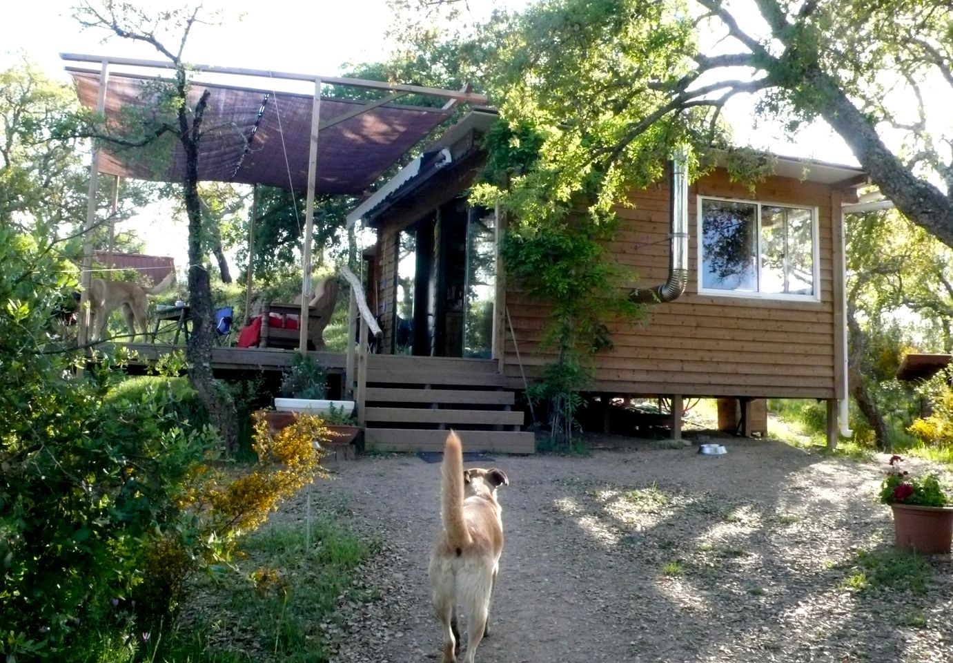 Eco-Friendly Cabin Perfect for a Relaxing Escape in Portugal