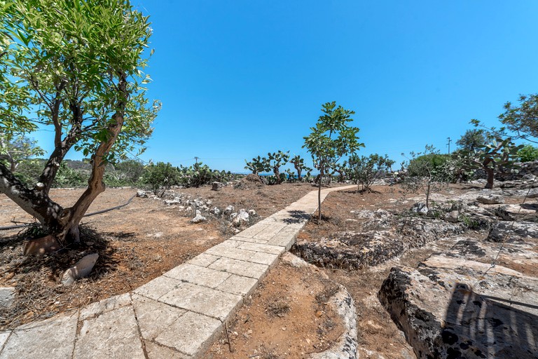 Pods (Italy, Gagliano del capo, Puglia)