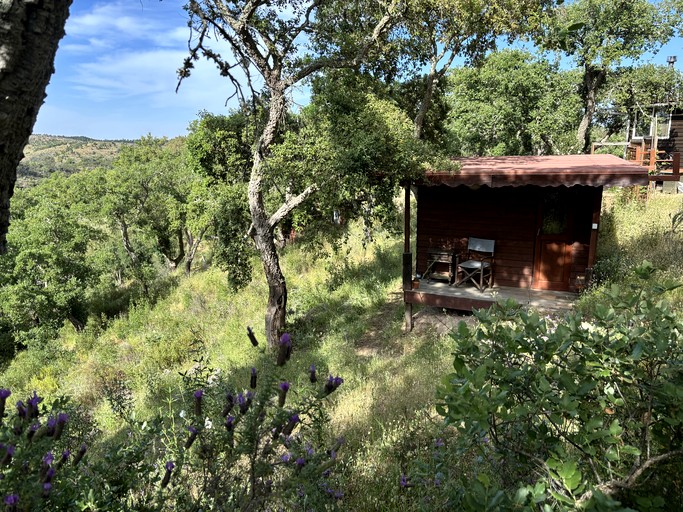 Cozy Tiny Cabin on a Wonderful Working Farm for a Peaceful Escape Surrounded by Nature in Odemira, Portugal