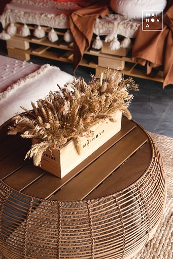 Bell Tents (Portugal, Evora, Alentejo)