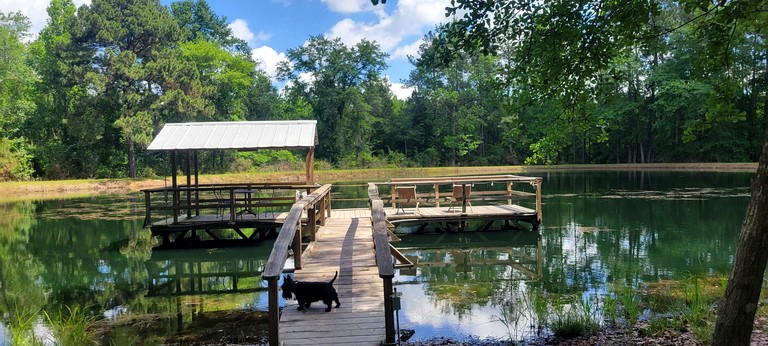 Cabins (United States of America, Claxton, Georgia)