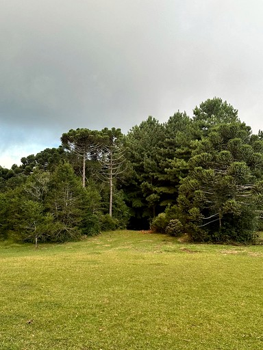 Cottages (Brazil, Canela, Rio Grande do Sul)