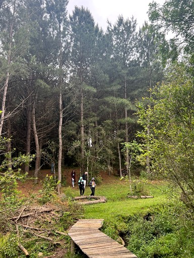 Cottages (Brazil, Canela, Rio Grande do Sul)