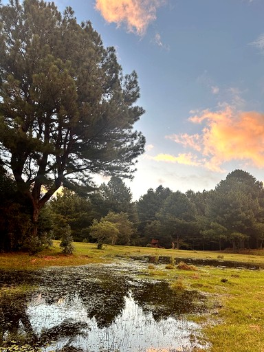 Cottages (Brazil, Canela, Rio Grande do Sul)