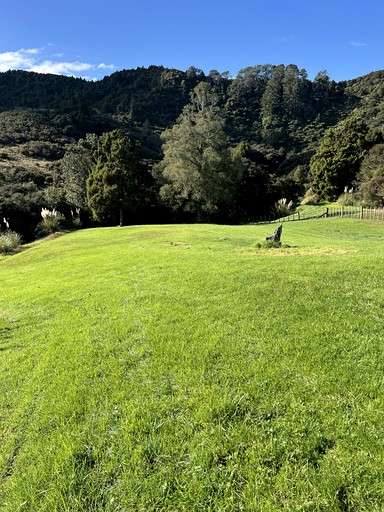 Tiny Houses (New Zealand, Matakana, Auckland)