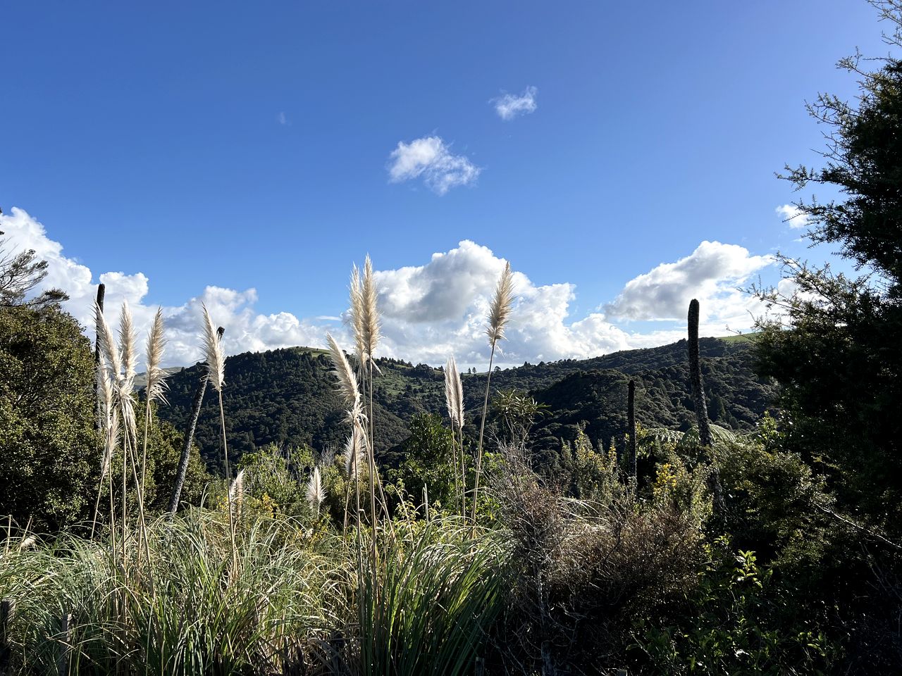 Off-Grid Tiny House Ideal to Reconnect with Nature in New Zealand