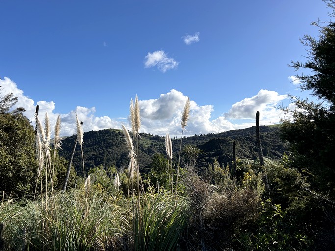 Tiny Houses (New Zealand, Matakana, Auckland)