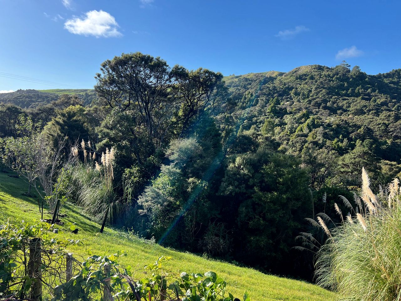 Off-Grid Tiny House Ideal to Reconnect with Nature in New Zealand
