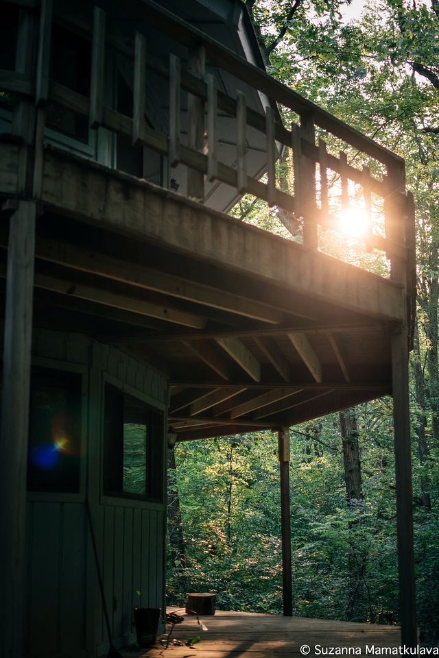 Spacious Round Tree House Ideal for a Remote Escape in North Carolina