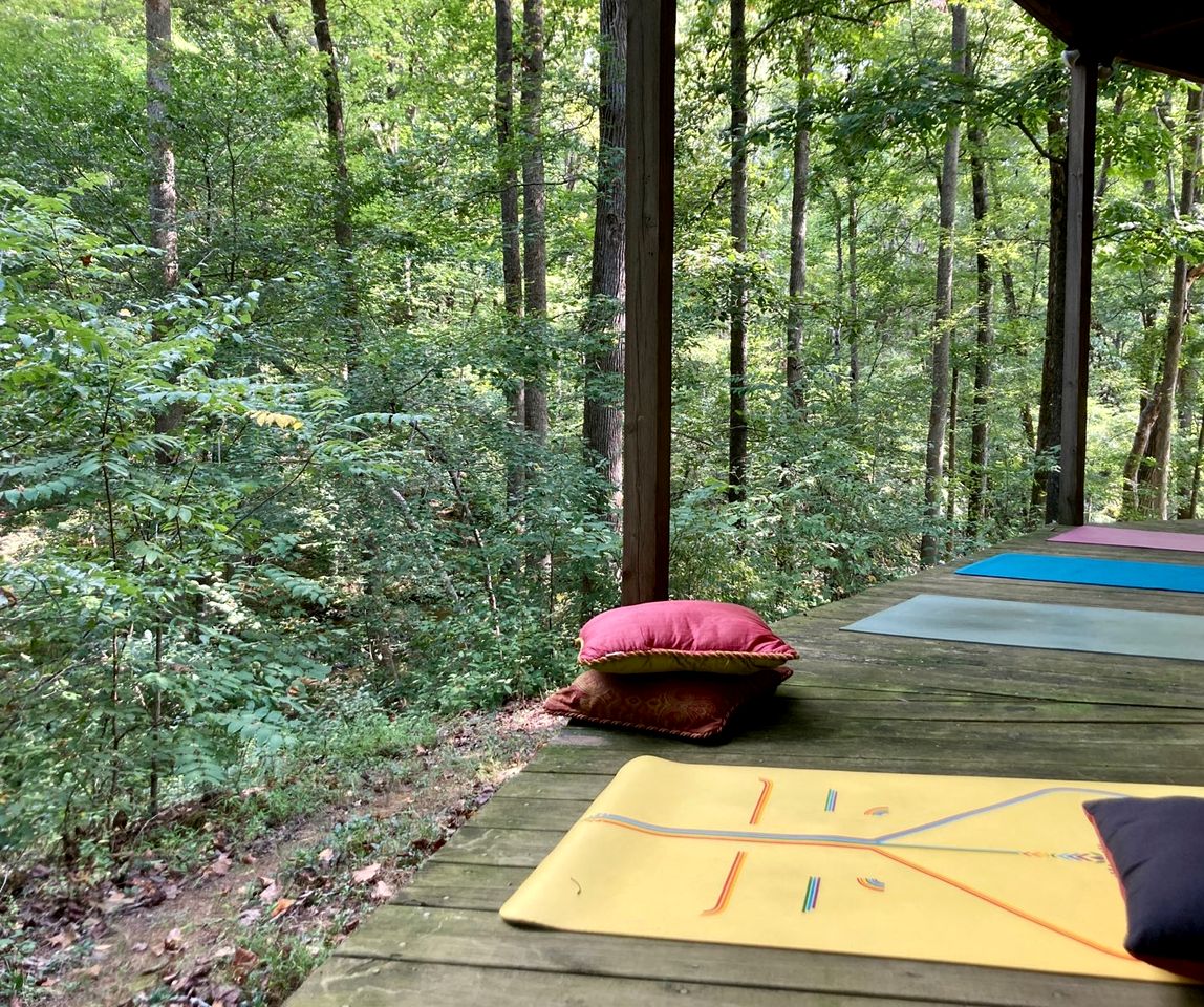 Spacious Round Tree House Ideal for a Remote Escape in North Carolina