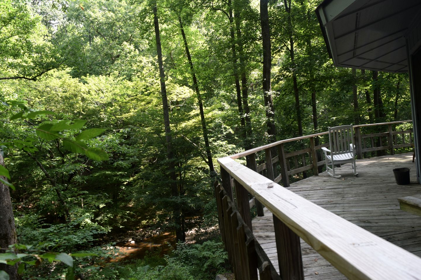 Spacious Round Tree House Ideal for a Remote Escape in North Carolina