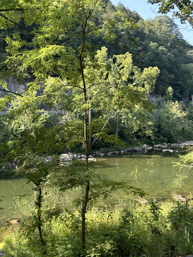 Cabins (United States of America, Lewisburg, West Virginia)