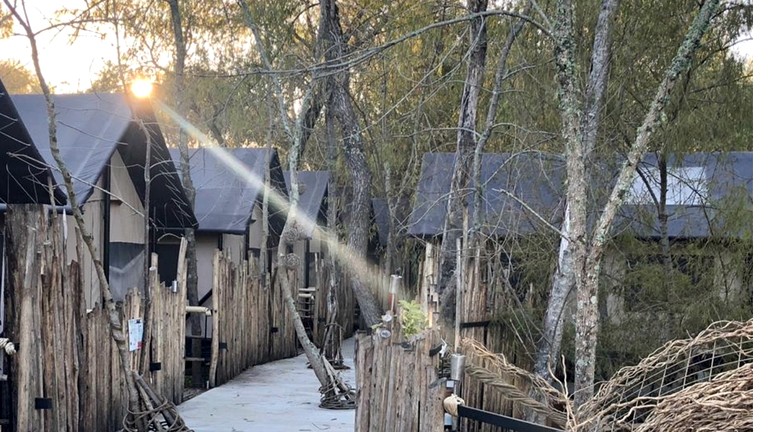 Safari Tents (Argentina, Tigre, Buenos Aires)